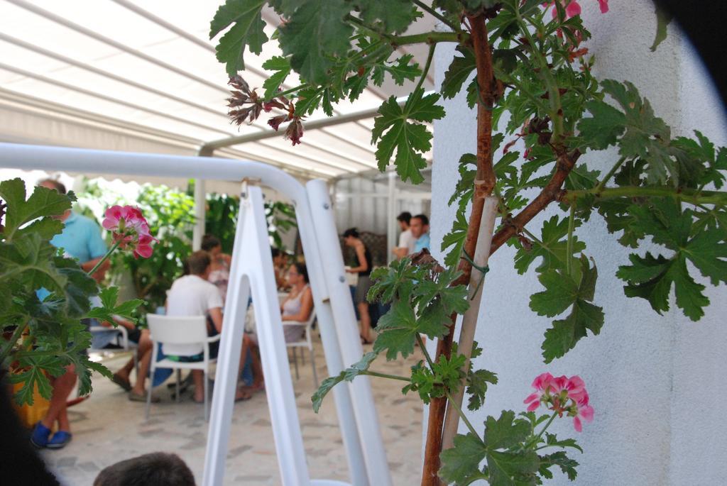 Hotel Cristall San Benedetto del Tronto Dış mekan fotoğraf