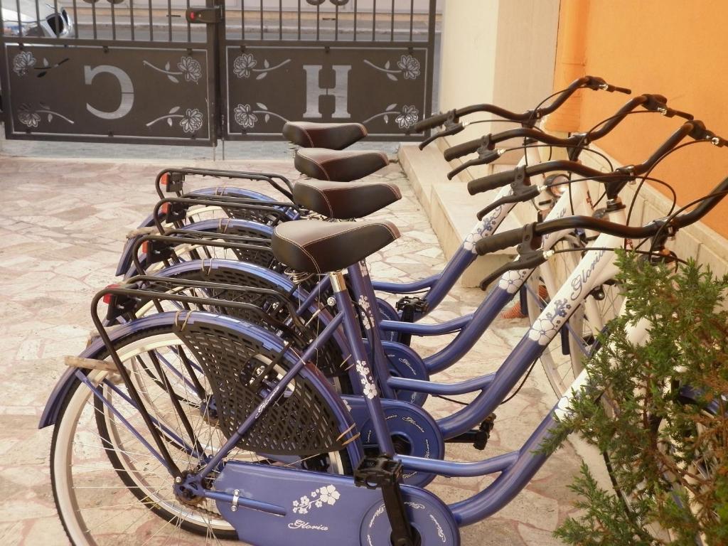 Hotel Cristall San Benedetto del Tronto Dış mekan fotoğraf